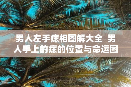 男人左手痣相图解大全  男人手上的痣的位置与命运图解