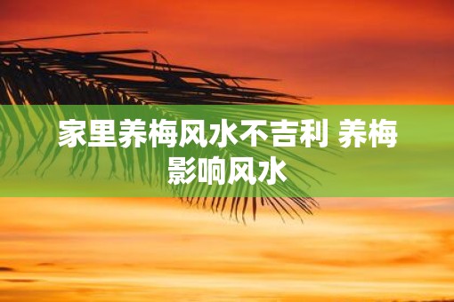 家里养梅风水不吉利 养梅影响风水