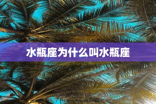 水瓶座为什么叫水瓶座
