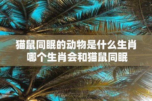 猫鼠同眠的动物是什么生肖 哪个生肖会和猫鼠同眠
