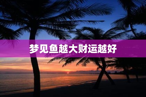 梦见鱼越大财运越好