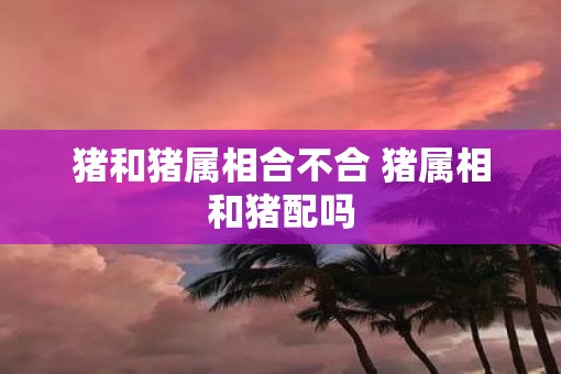猪和猪属相合不合 猪属相和猪配吗