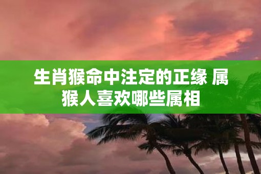 生肖猴命中注定的正缘 属猴人喜欢哪些属相