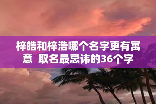 梓皓和梓浩哪个名字更有寓意  取名最忌讳的36个字