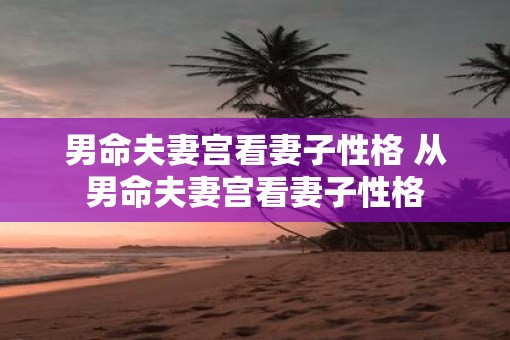 男命夫妻宫看妻子性格 从男命夫妻宫看妻子性格