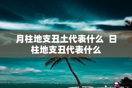 月柱地支丑土代表什么 日柱地支丑代表什么 月柱地支丑土代表什么 日柱地支丑代表什么