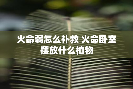 火命弱怎么补救 火命卧室摆放什么植物