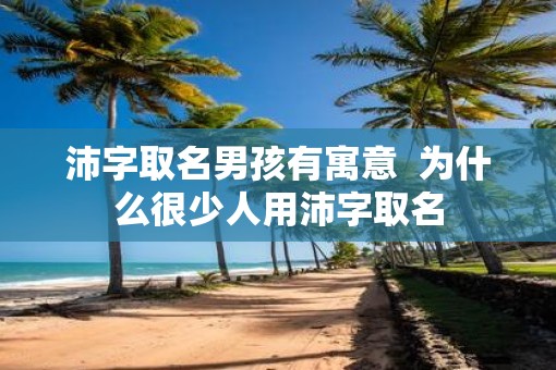 沛字取名男孩有寓意  为什么很少人用沛字取名