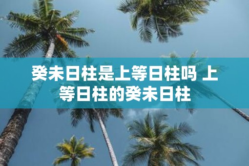 癸未日柱是上等日柱吗 上等日柱的癸未日柱