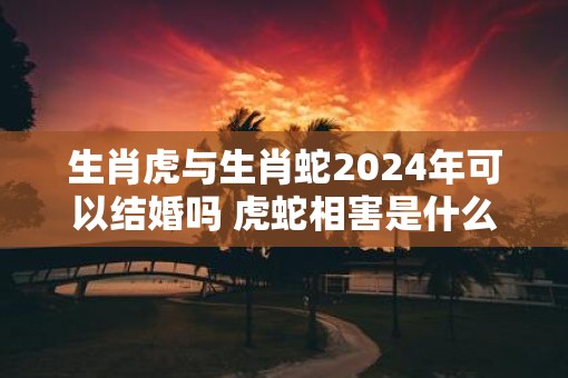 生肖虎与生肖蛇2025年可以结婚吗 虎蛇相害是什么