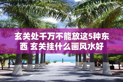 玄关处千万不能放这5种东西 玄关挂什么画风水好