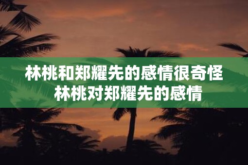 林桃和郑耀先的感情很奇怪  林桃对郑耀先的感情