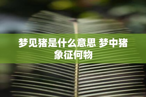 梦见猪是什么意思 梦中猪象征何物