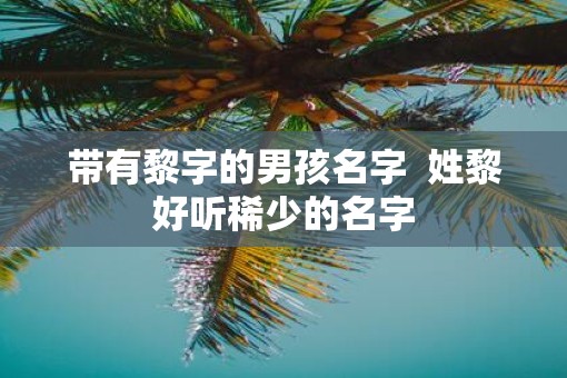 带有黎字的男孩名字  姓黎好听稀少的名字