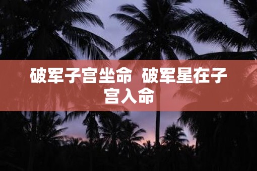 破军子宫坐命  破军星在子宫入命