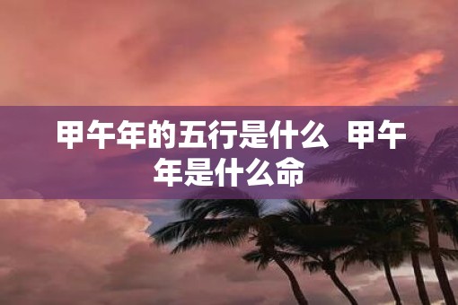 甲午年的五行是什么  甲午年是什么命