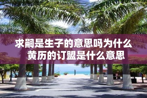 求嗣是生子的意思吗为什么  黄历的订盟是什么意思