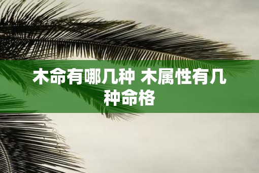 木命有哪几种 木属性有几种命格
