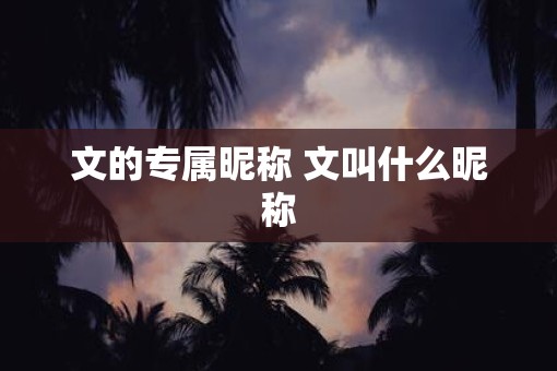 文的专属昵称 文叫什么昵称