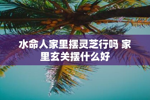 水命人家里摆灵芝行吗 家里玄关摆什么好