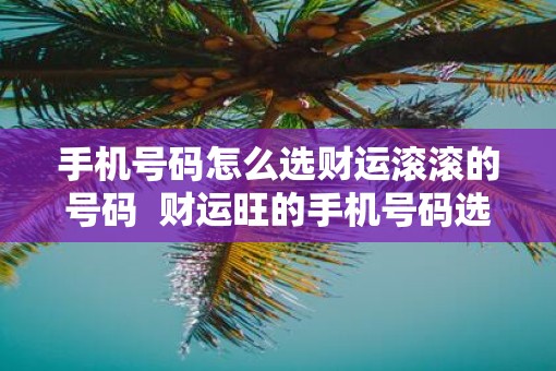 手机号码怎么选财运滚滚的号码  财运旺的手机号码选择方式