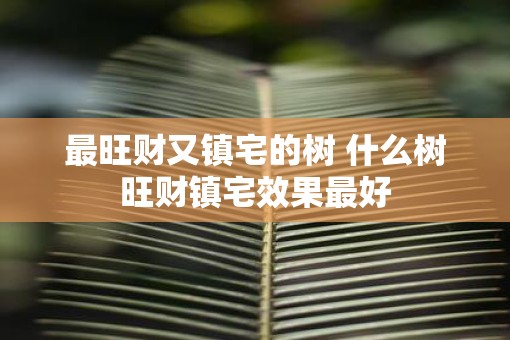 最旺财又镇宅的树 什么树旺财镇宅效果最好
