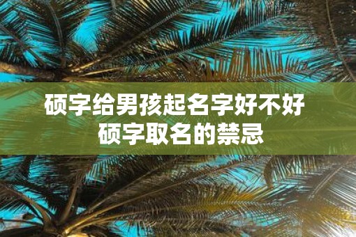硕字给男孩起名字好不好  硕字取名的禁忌