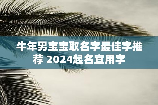 牛年男宝宝取名字最佳字推荐 2025起名宜用字