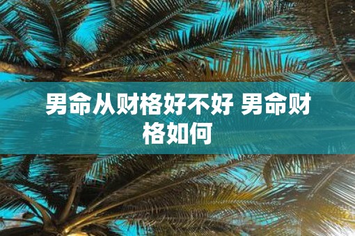 男命从财格好不好 男命财格如何