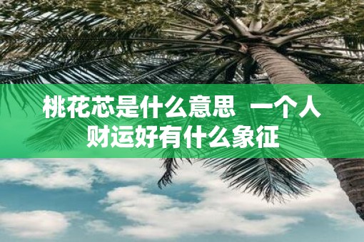 桃花芯是什么意思  一个人财运好有什么象征