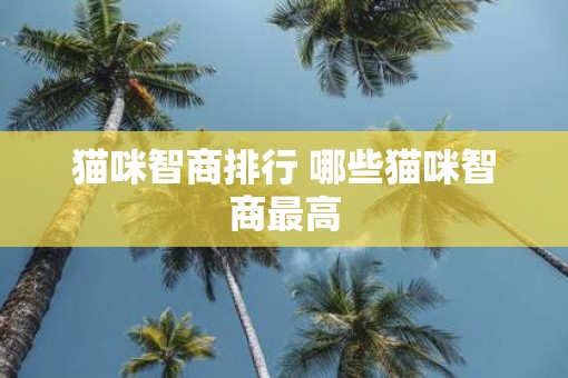 猫咪智商排行 哪些猫咪智商最高