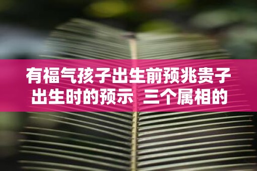 有福气孩子出生前预兆贵子出生时的预示  三个属相的孩子旺父母