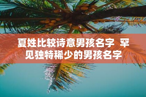 夏姓比较诗意男孩名字  罕见独特稀少的男孩名字