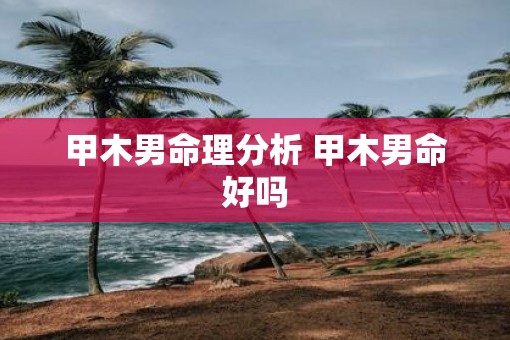 甲木男命理分析 甲木男命好吗