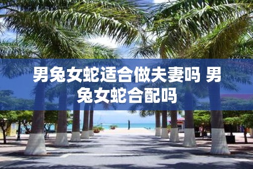 男兔女蛇适合做夫妻吗 男兔女蛇合配吗