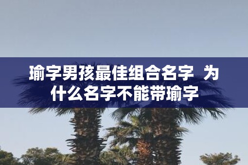 瑜字男孩最佳组合名字  为什么名字不能带瑜字
