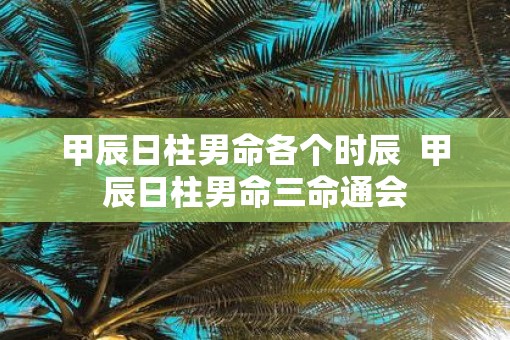 甲辰日柱男命各个时辰  甲辰日柱男命三命通会
