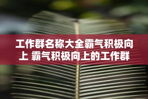 工作群名称大全霸气积极向上 霸气积极向上的工作群名称有哪些