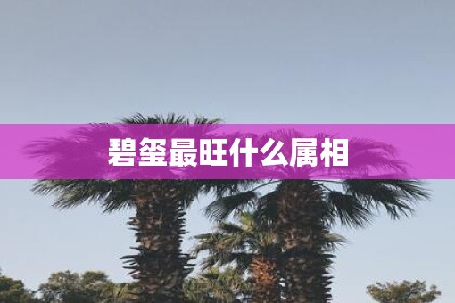 碧玺最旺什么属相