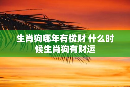 生肖狗哪年有横财 什么时候生肖狗有财运