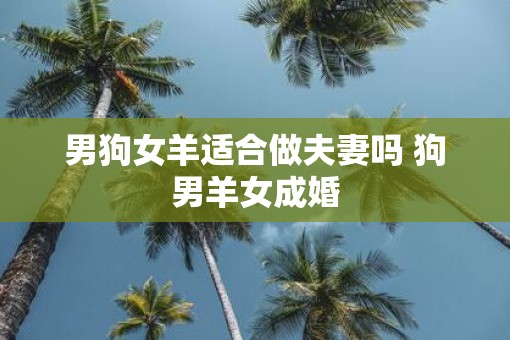 男狗女羊适合做夫妻吗 狗男羊女成婚