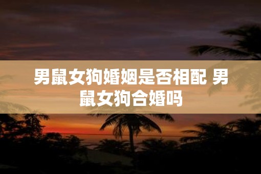 男鼠女狗婚姻是否相配 男鼠女狗合婚吗
