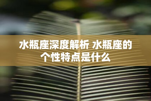 水瓶座深度解析 水瓶座的个性特点是什么