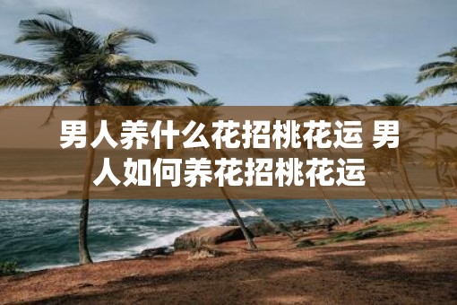 男人养什么花招桃花运 男人如何养花招桃花运