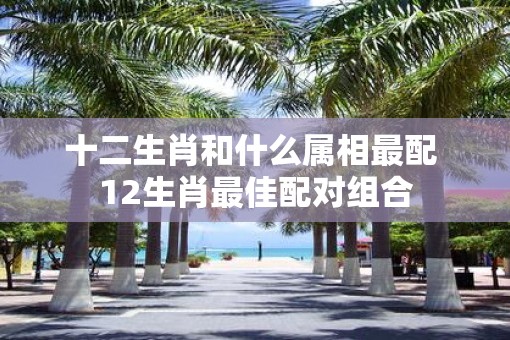 十二生肖和什么属相最配 12生肖最佳配对组合