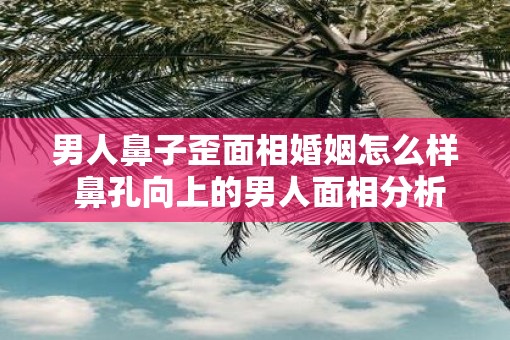 男人鼻子歪面相婚姻怎么样 鼻孔向上的男人面相分析