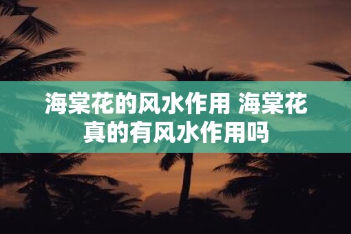 海棠花的风水作用 海棠花真的有风水作用吗