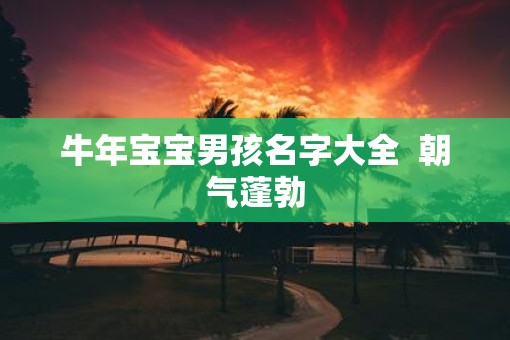 牛年宝宝男孩名字大全  朝气蓬勃