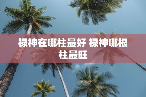 禄神在哪柱最好 禄神哪根柱最旺