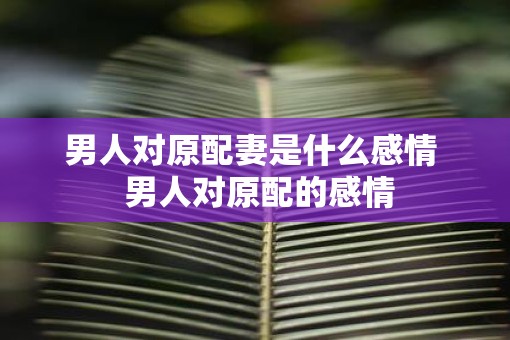 男人对原配妻是什么感情  男人对原配的感情